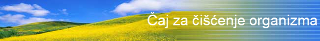 Čaj za čišćenje organizma