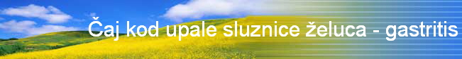 aj kod upale sluznice eluca - gastritis