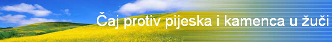 aj protiv pijeska i kamenca u bubregu